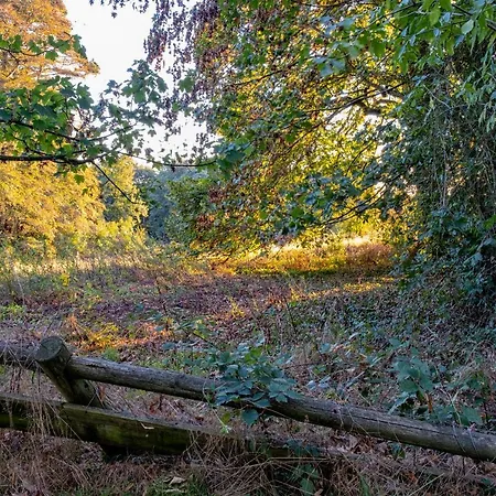 Chateau De Tresse Pouance