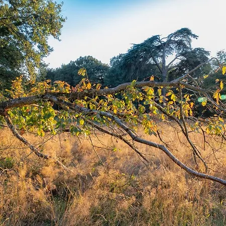 Chateau De Tresse Hotel