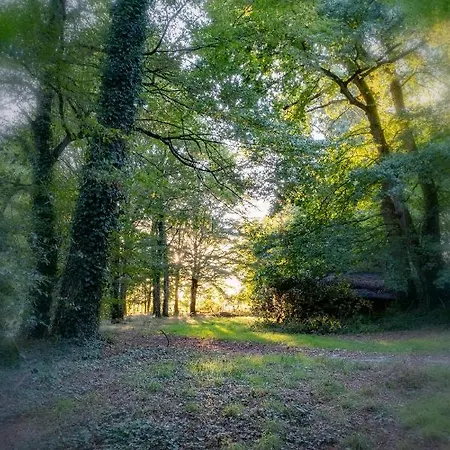 Chateau De Tresse Pouance