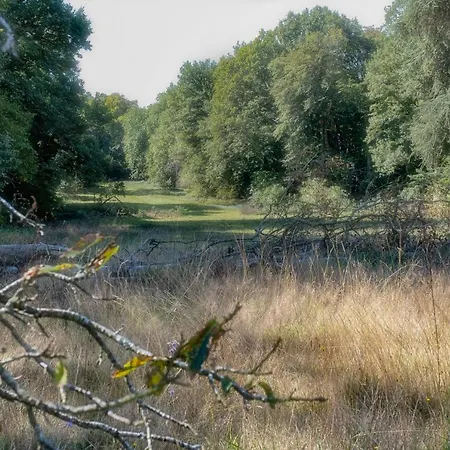 Chateau De Tresse 5* Pouance