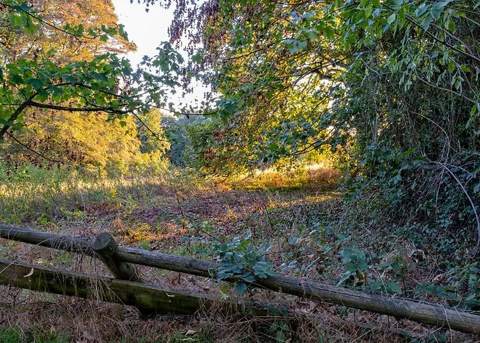 Chateau De Tresse Pouancé