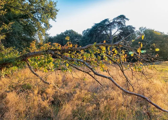 Chateau De Tresse ホテル