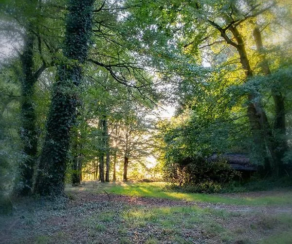 Chateau De Tresse Pouancé