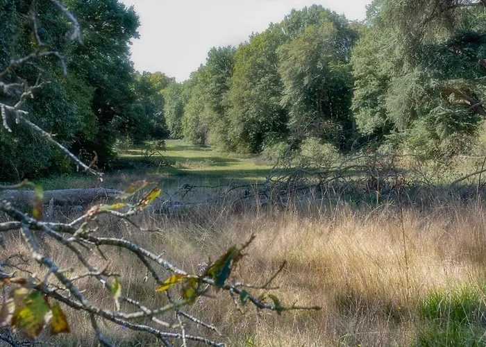 Chateau De Tresse 5* Pouancé