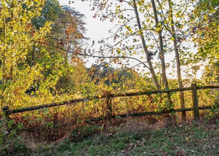 Chateau De Tresse Pouancé
